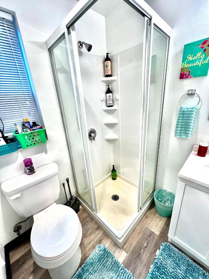 Micro Studio Apartment In University District- 10 Mins Walk To University Of Wa Seattle Zewnętrze zdjęcie
